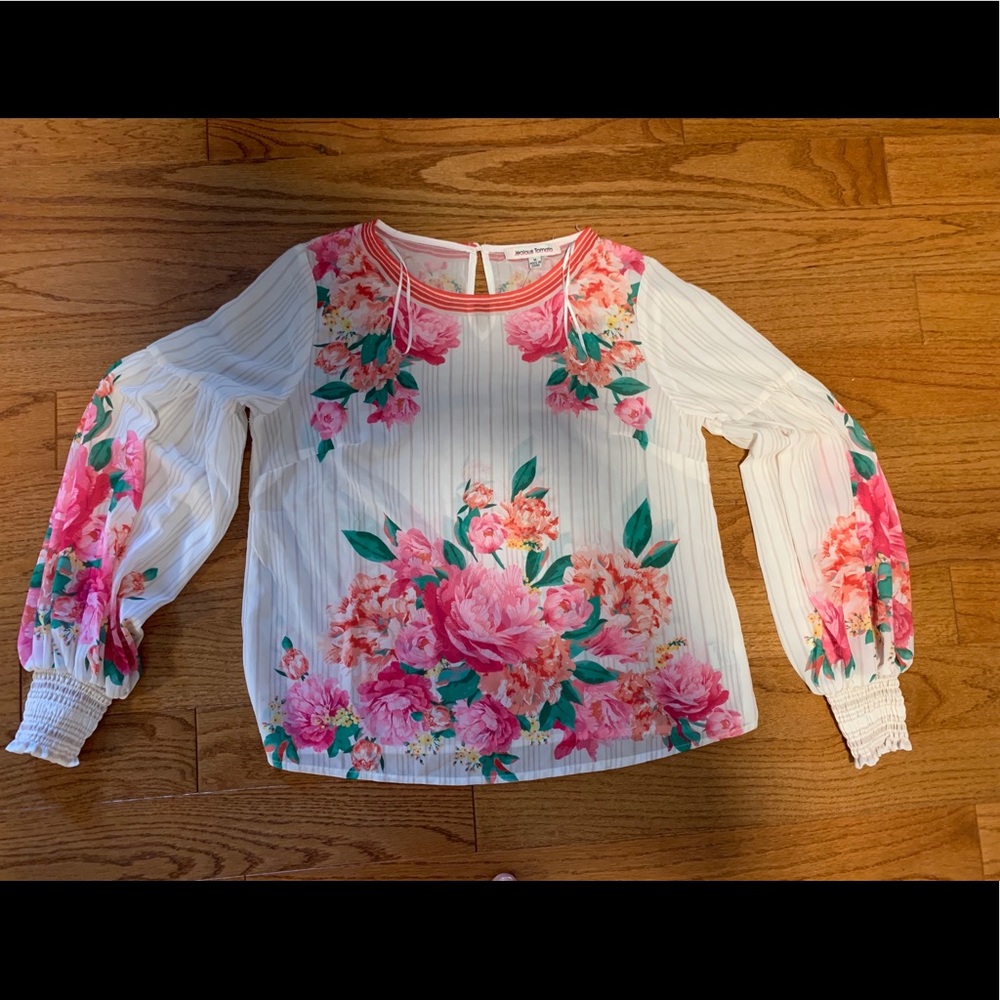 Rose Design Sheer Blouse